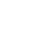 button-icon